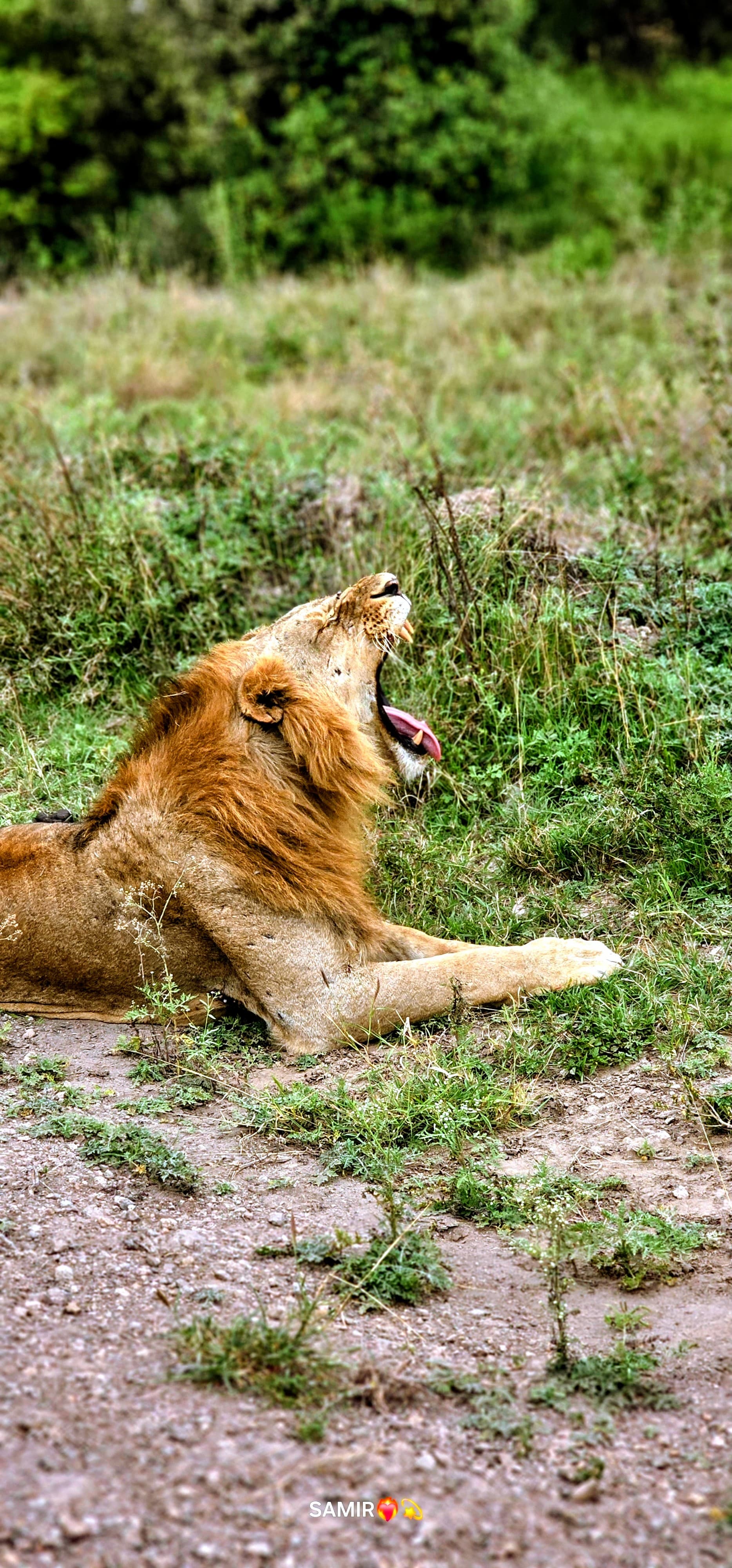 Amboseli Adventure (3 Days)
