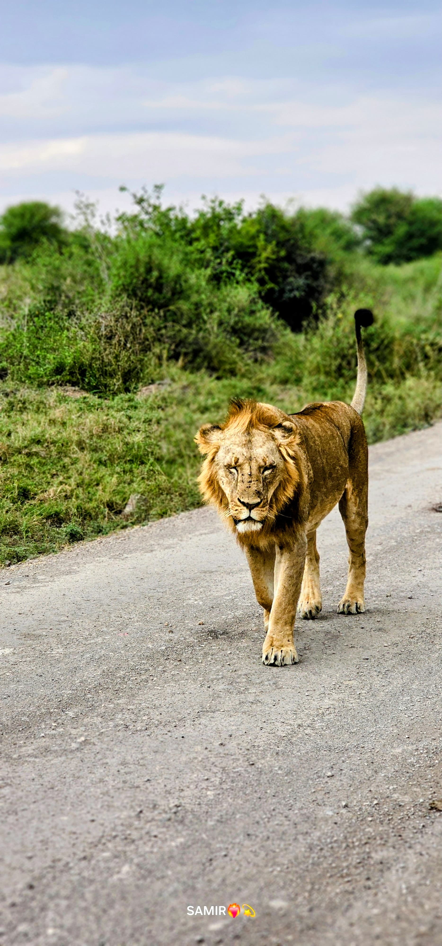 Nairobi City & Nature Day Trip