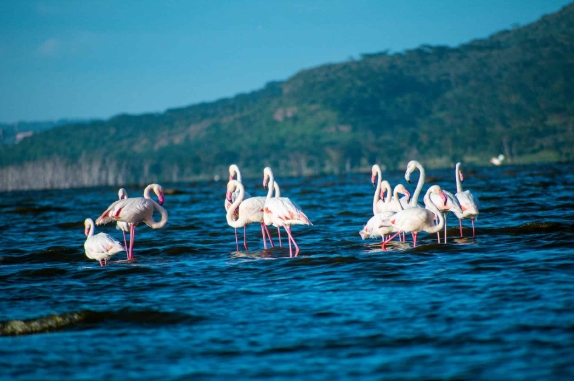 Nakuru