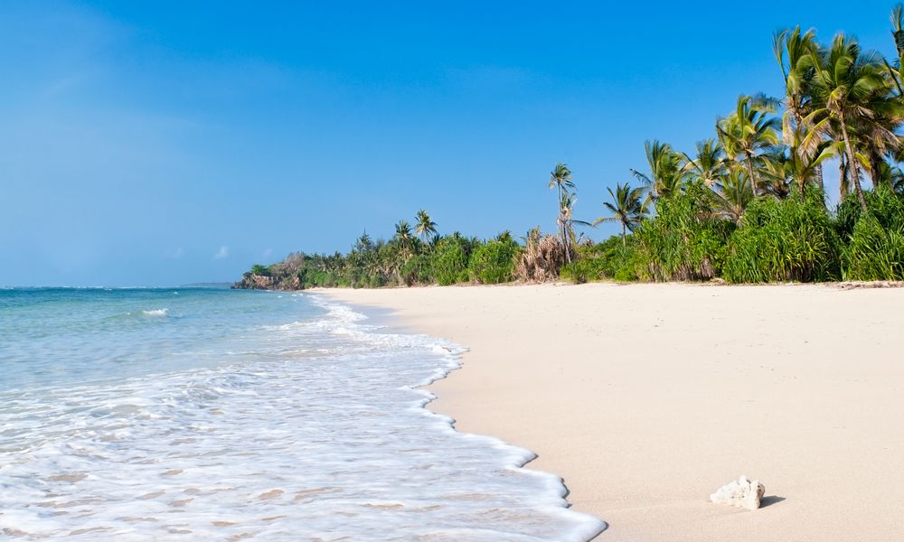 Coast Holiday